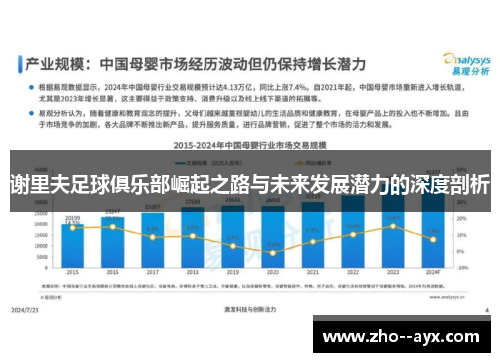 谢里夫足球俱乐部崛起之路与未来发展潜力的深度剖析