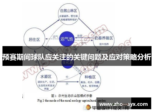 预赛期间球队应关注的关键问题及应对策略分析