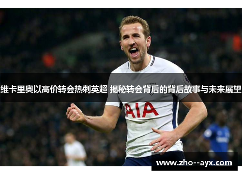 维卡里奥以高价转会热刺英超 揭秘转会背后的背后故事与未来展望